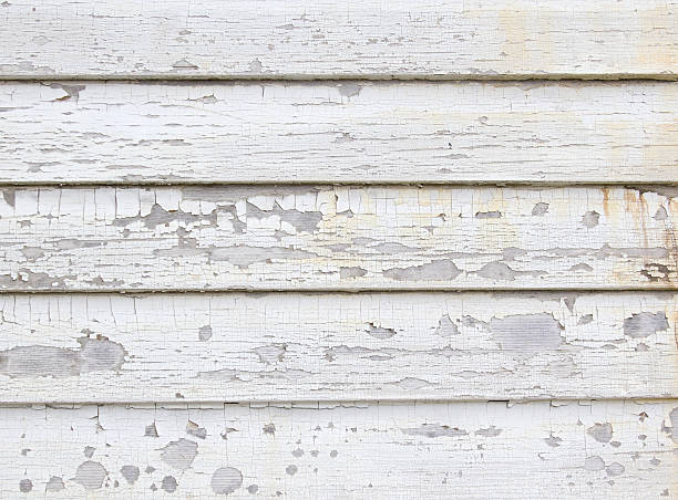 Best Storm Damage Siding Repair  in Wadley, GA
